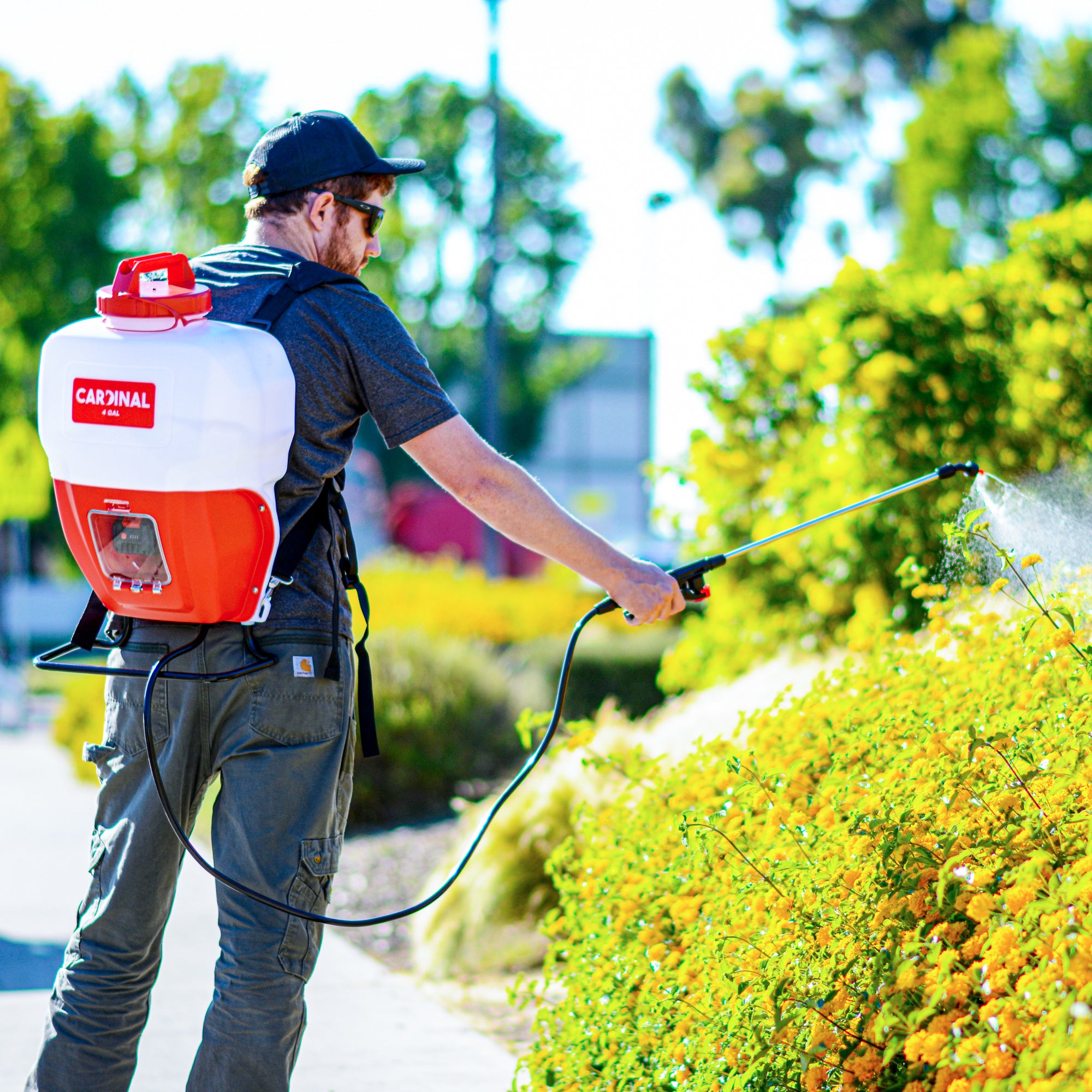 battery powered backpack garden sprayer 4 Gallon 21 Volt Battery Powered Backpack Sprayer for Pest Control – Cardinal Sprayers